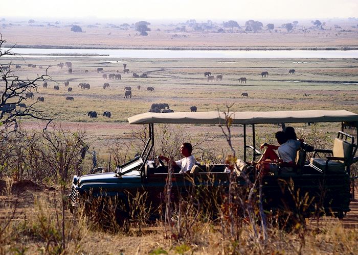 Chobe National Park, Botswana