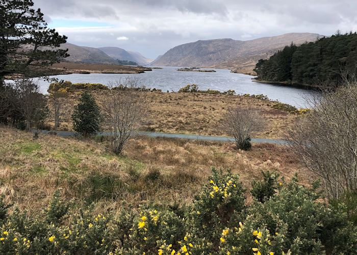 View over Glenveagh National Park