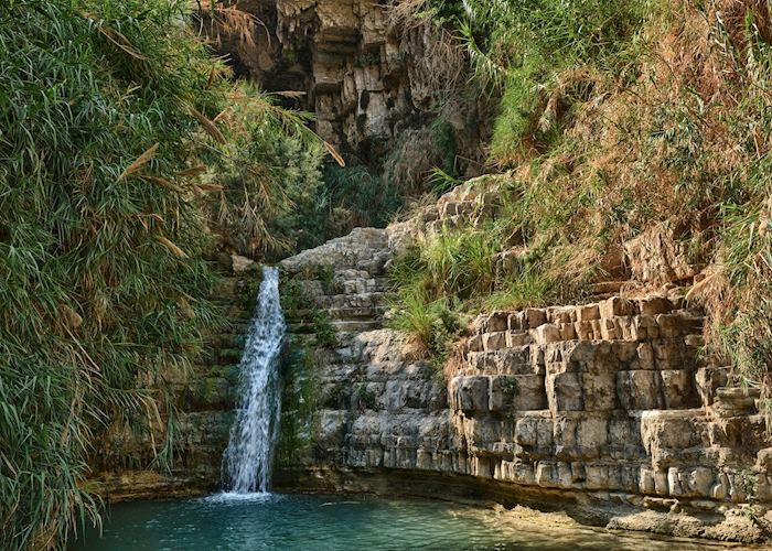 Ein Gedi nature reserve