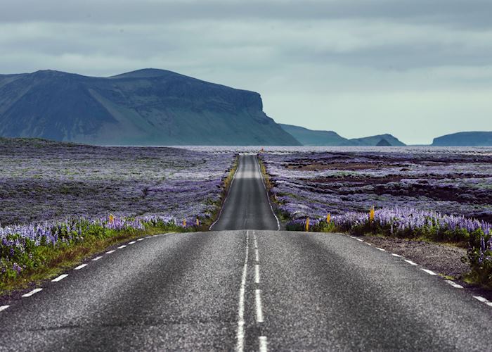 Driving in south east Iceland