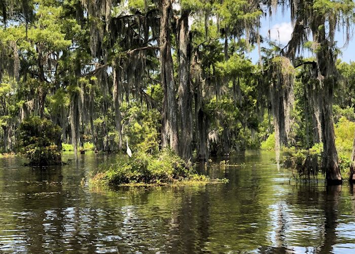 Guided Louisiana swamp tour | Audley Travel