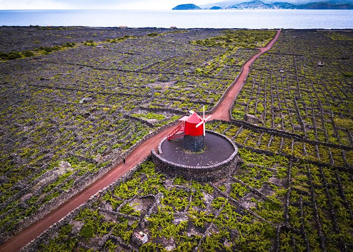 Windmill, Criação Velha, Pico