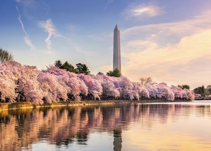 Washington DC in Spring