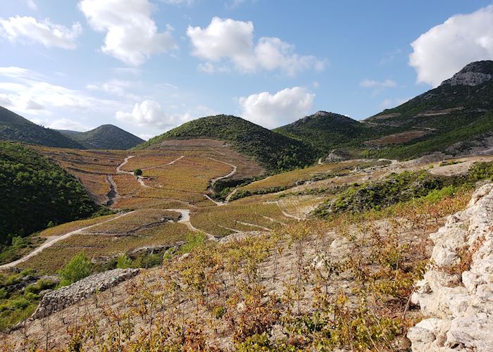 Miloš winery, Croatia