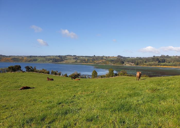 View of the wetlands and inland sea from Tierra Chiloé