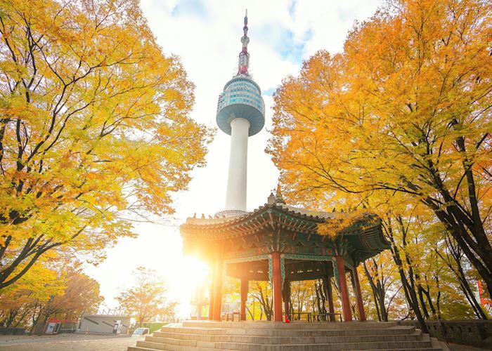 Busan tower