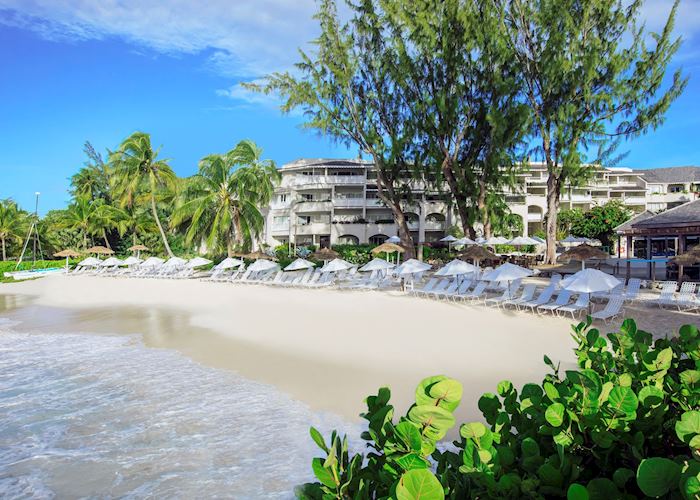 Bougainvillea, Oistins