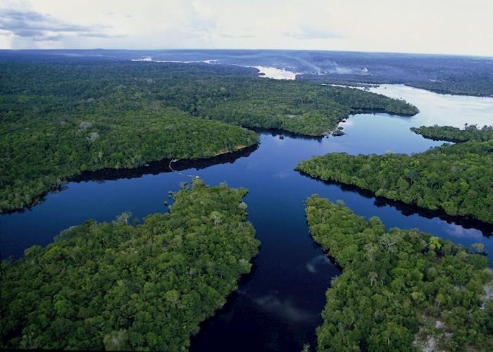 Amazon Rainforest