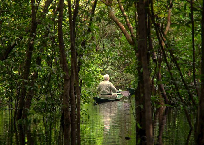 Kayaking through the trees in the Amazon