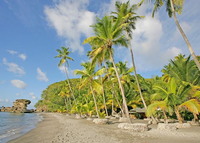 Palm fringed private beach