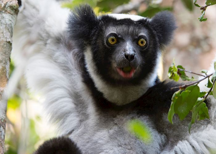 Madagascar family adventure | Audley Travel US