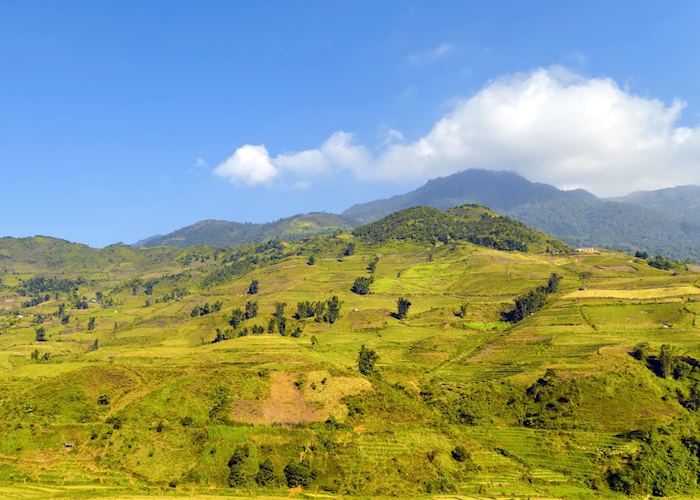 Tonkinese Alps in Sapa