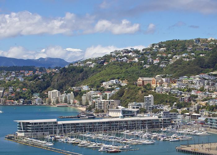 Te Papa in Wellington