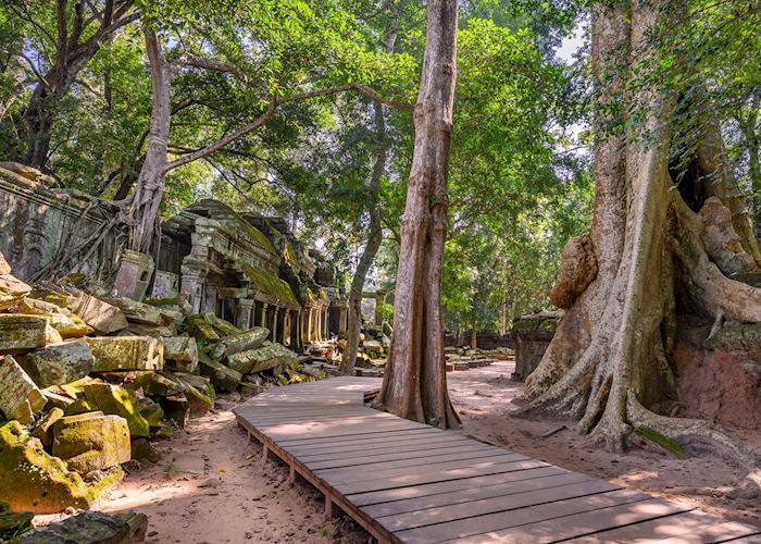 Ta Prohm temple