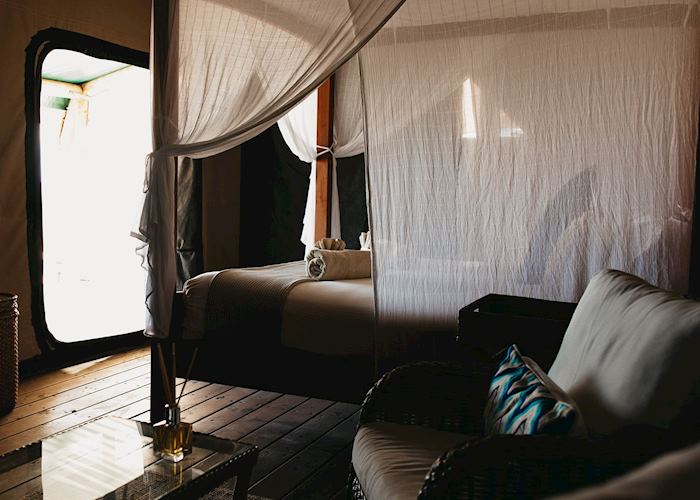 Honeymoon Tent, Sal Salis