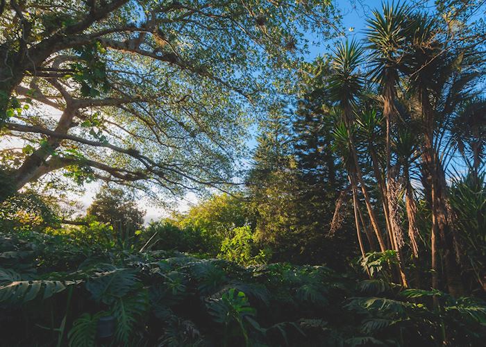 Grounds, Finca Rosa Blanca