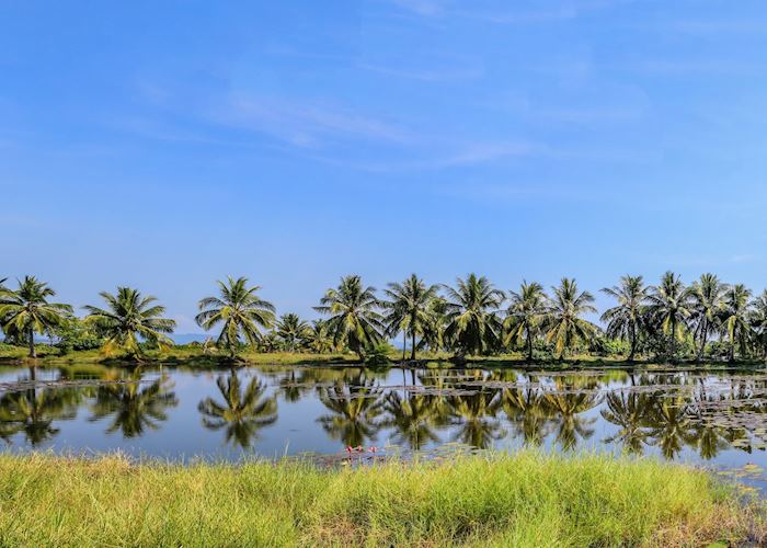 Wetlands in Koh Kong, Cambodia