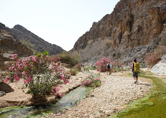 Trekking in Dana Biosphere Reserve