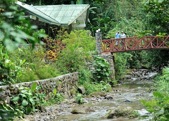  Canopy Lodge, Panama 