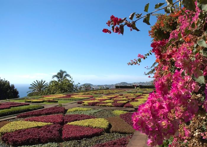 Madeira Botanical Garden, Funchal