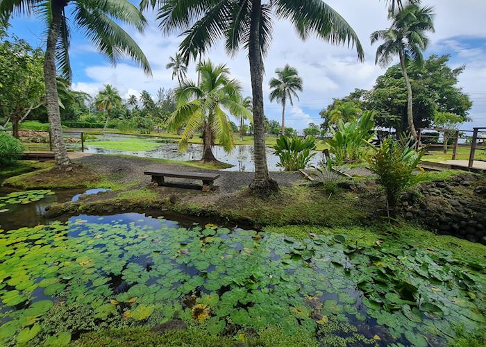 DUP Tahiti Museum & Circle Island Tour, Half Day (TNT) : Tahiti Museum & Circle Island Tour, Half Day - final, Tahiti