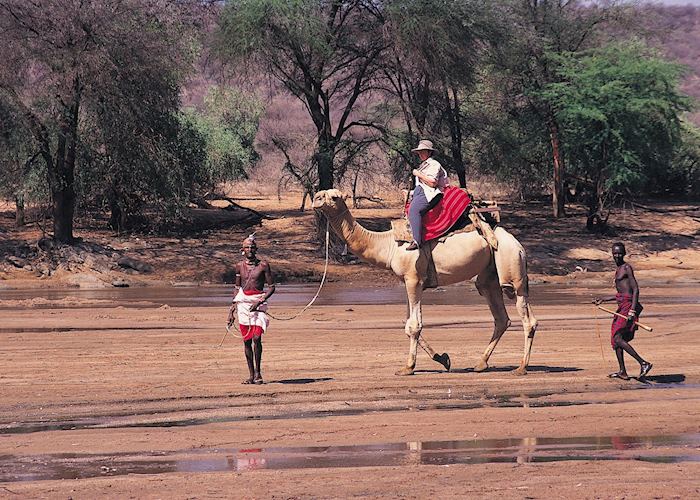 Camel safari, Samburu Intrepids