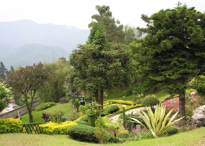 Gardens, Silver Oaks, Kalimpong