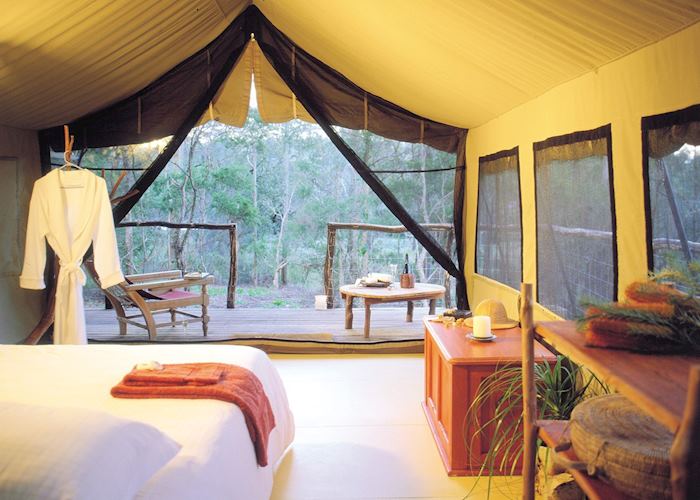 Deluxe Safari Tent, Paperbark Camp, Jervis Bay