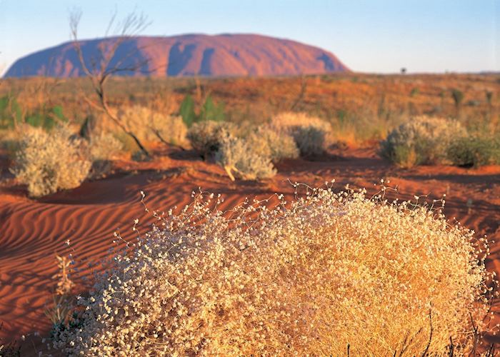 Uluru, Central Australia