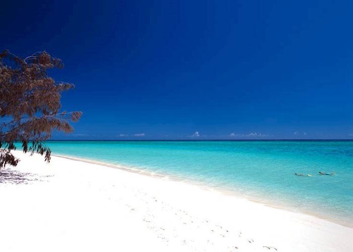 Visit Heron Island on a trip to Australia Audley Travel US