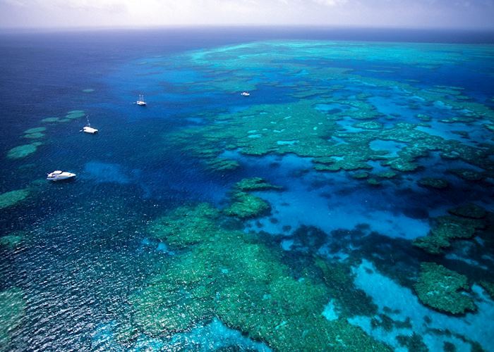 The Great Barrier Reef