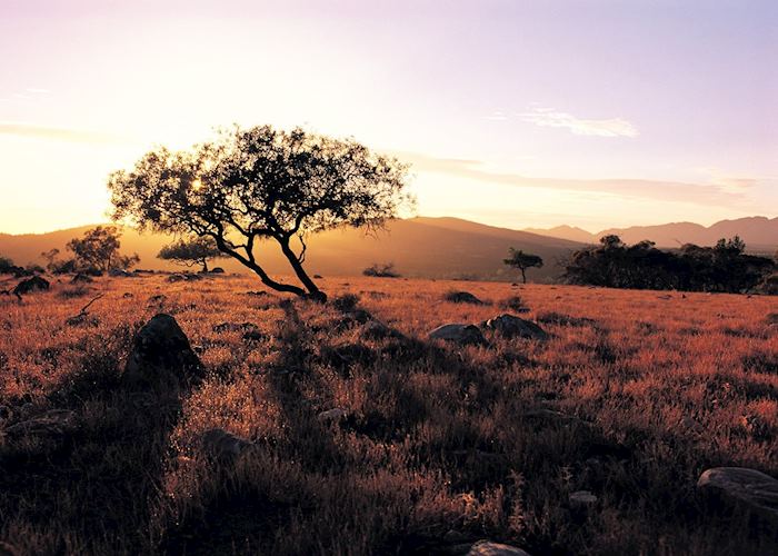 Wilpena Pound Sunset, Flinders Ranges, South Australia