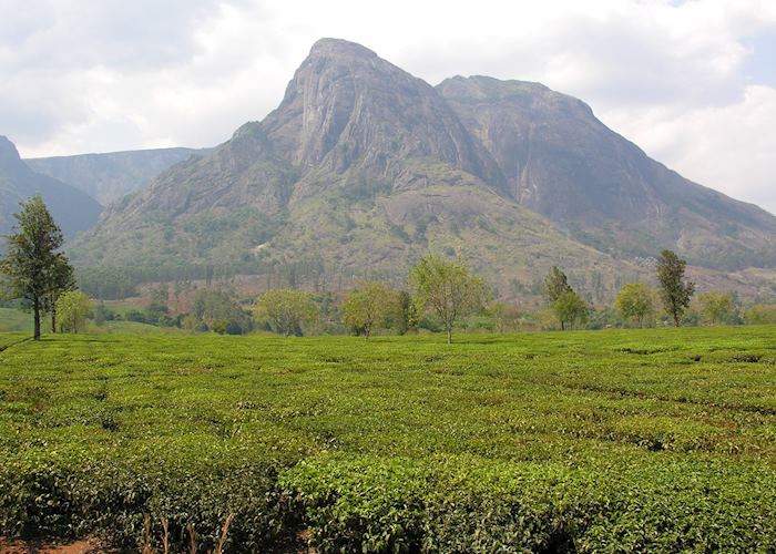 Mount Mulanje