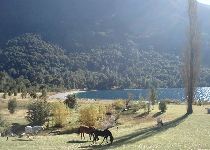 Grounds at Hosteria Peuma Hue, Bariloche