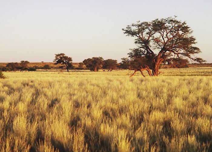 View of the surrounding area from the Kalahari Anib Lodge, Southern Namibia