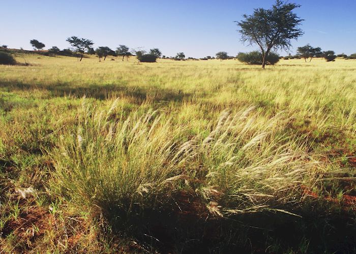 View of the surrounding area from the Kalahari Anib Lodge, Southern Namibia