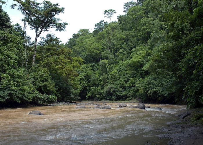 The area surrounding Sarapiqui, Costa Rica