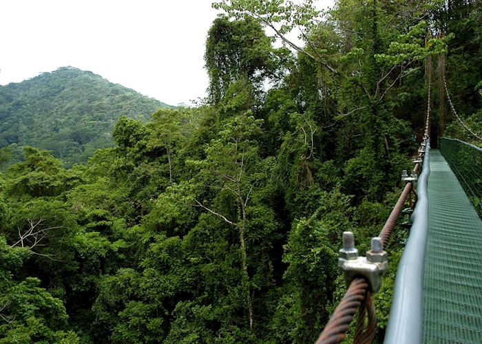 Canopy walk Sarapiqui, Costa Rica