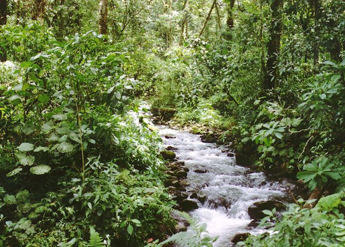Puerto Viejo de Sarapiqui, Costa Rica