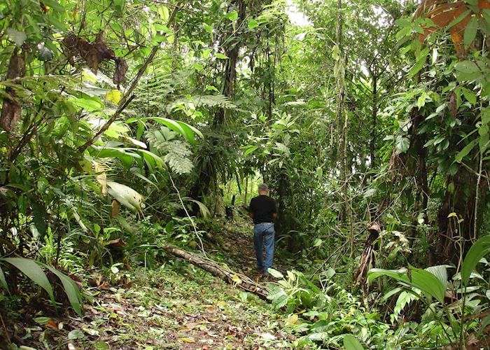 The Quetzal trail, Boquete