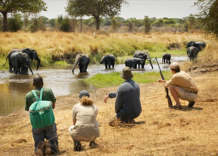 Walking Safari - Oliver's Camp, Tarangire National Park