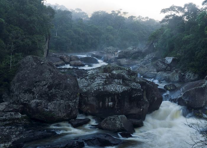 Ranomafana National Park, Madagascar | Tailor-made Trips | Audley Travel UK