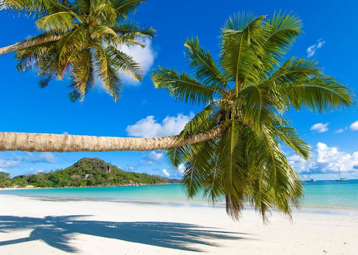 Seychelles Beach