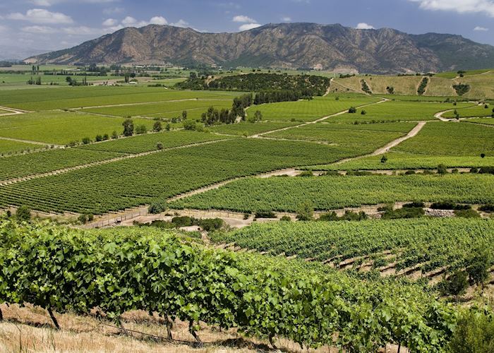 Colchagua wine region, Chile