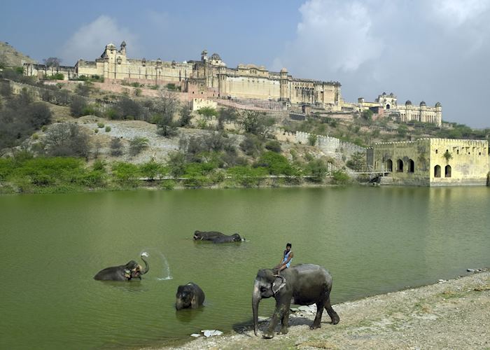 Elephants at Amber Fort and Palace, Jaipur