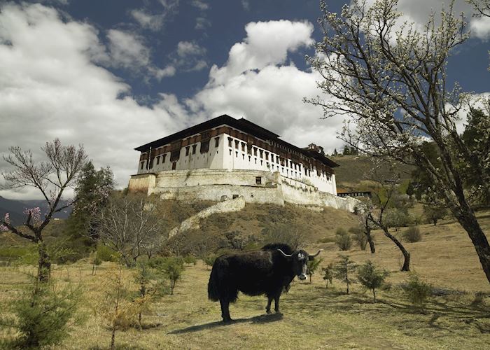 Paro Dzong, Paro, Bhutan