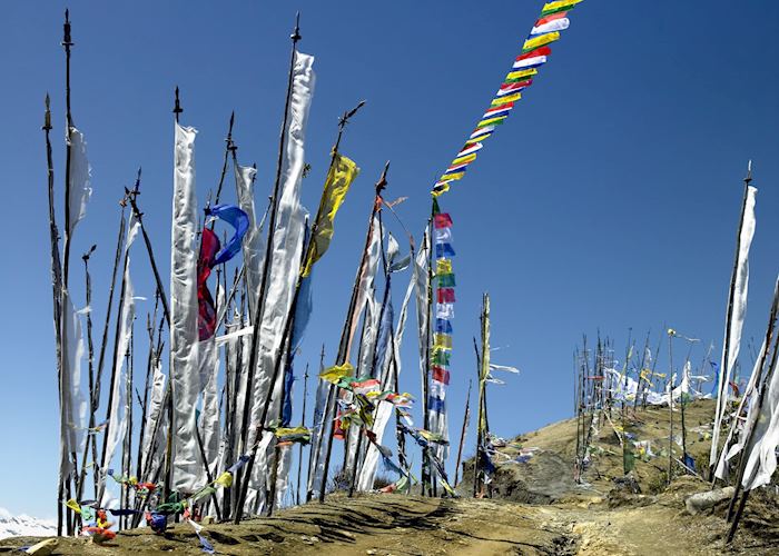 Prayer flags above the Phobjikha valley, Bhutan