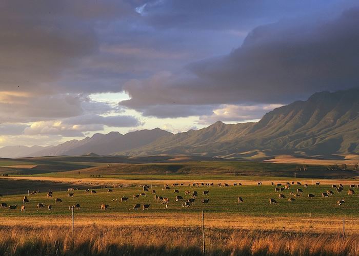 Swellendam, South Africa