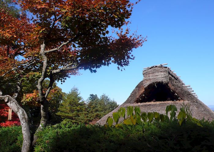 Thatched house, Hida folk village