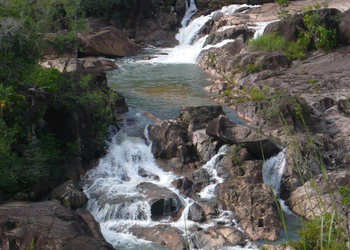 Pools in the Mountain Pine region